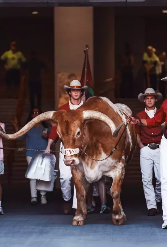 Bevo vs. Arkansas 2026