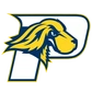 Pace University Logo