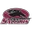 Southern Illinois Logo