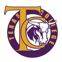 Texas College