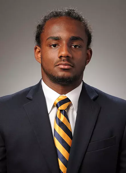 Tiger Burkes