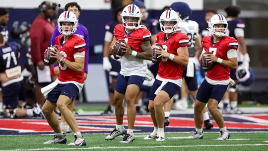 Cats Camp: August Arrives