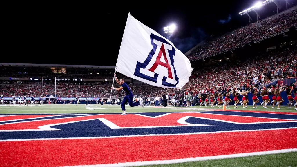 Flag on Field