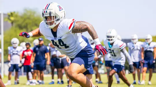 Cats Camp: Welcome Back