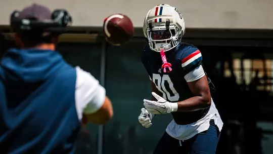 Cats Camp: Stadium Life