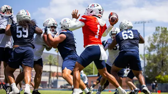 Cats Camp: One Month Out
