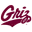 Montana Logo
