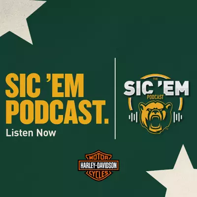 Podcast Image