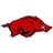 #10 Arkansas