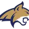 Montana State Logo