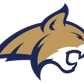 Montana State Logo