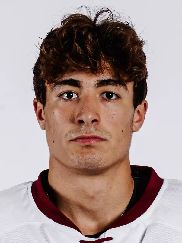 Aram Minnetian Headshot