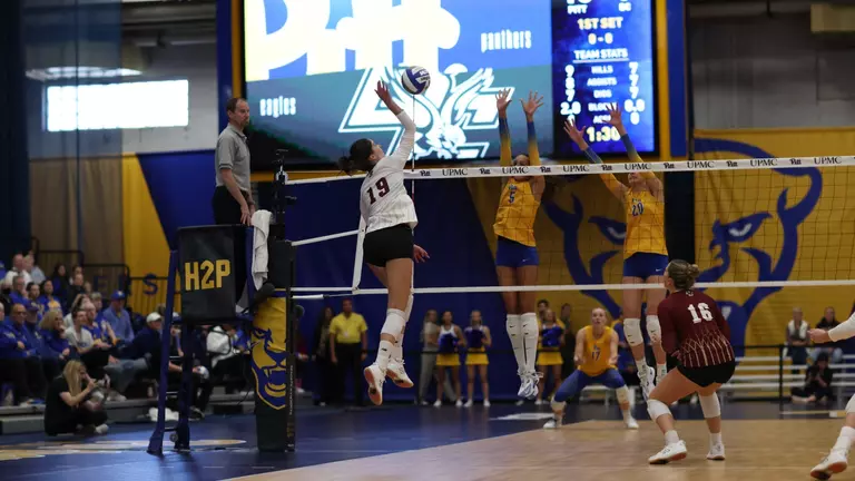 BCVB
