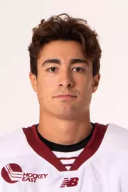 Aram Minnetian