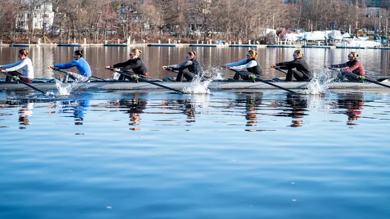 BC ROW