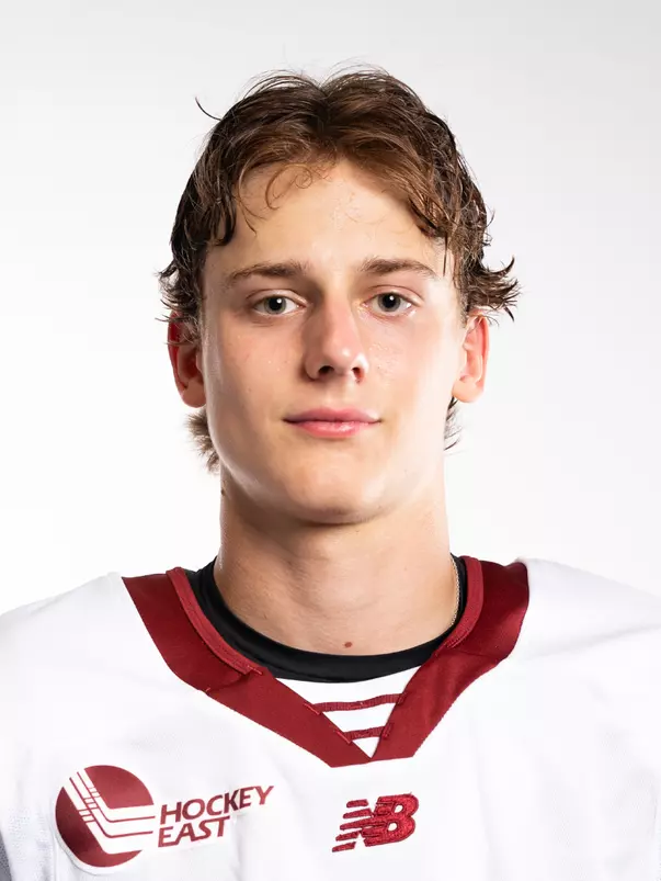 Luka Radivojevic headshot
