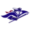 Southern New Hampshire University Logo