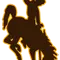 Wyoming Logo