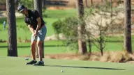 Falcons Begin Week at Babygrande Ross Intercollegiate Classic