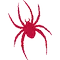 Richmond Spiders