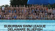 Delaware Bluefish Swim Team