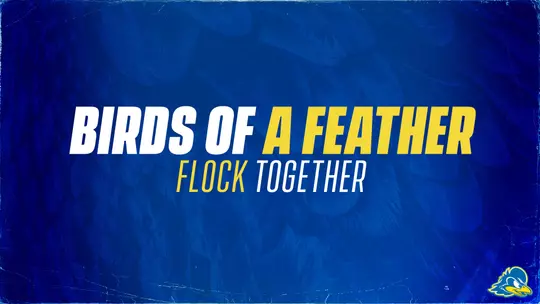 Birds of a Feather: The Bonds That Brings Us Together