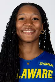India Gantt