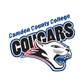 Camden County College Logo