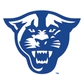 Georgia State University Logo