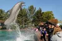 Saturday's Photo Of The Day & Photo Gallery