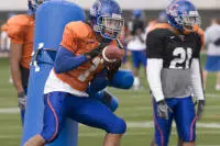 Watch 2010 Fiesta Blog - December 30