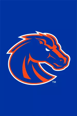 Bronco Head Shot