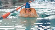 Bronco Swim & Dive Owns Nation’s Longest Home Dual Win Streak