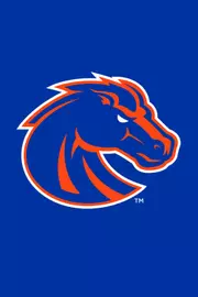 Bronco Head for Web Mugs
