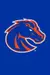 UT Martin