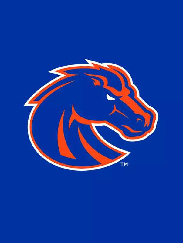 Bronco Head for Web Mugs
