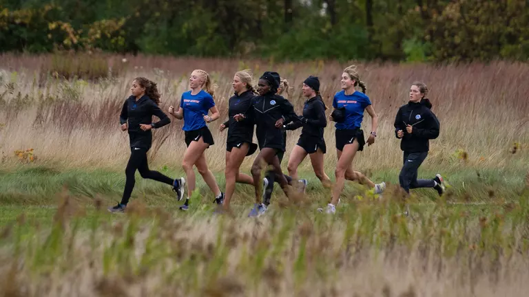 Broncos Predicted Second in Pre-Championship Polls