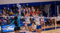 Broncos Battle USU in Four-Set Loss