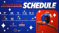 Gymnastics Announces 2026 Schedule Updates
