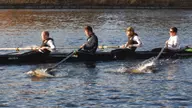 Brown Finishes Second at the Foot of the Charles