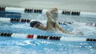 Men's Swimming & Diving In Third After Day One of Big Al Invite