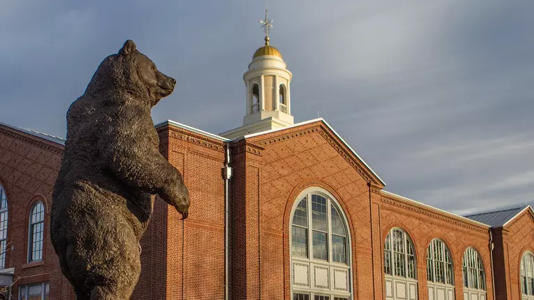 Brown Athletics Announces Spring Senior Spotlight