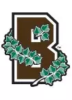 brown logo