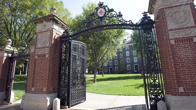 Six Bears Receive At Large Academic All-Ivy Recognition