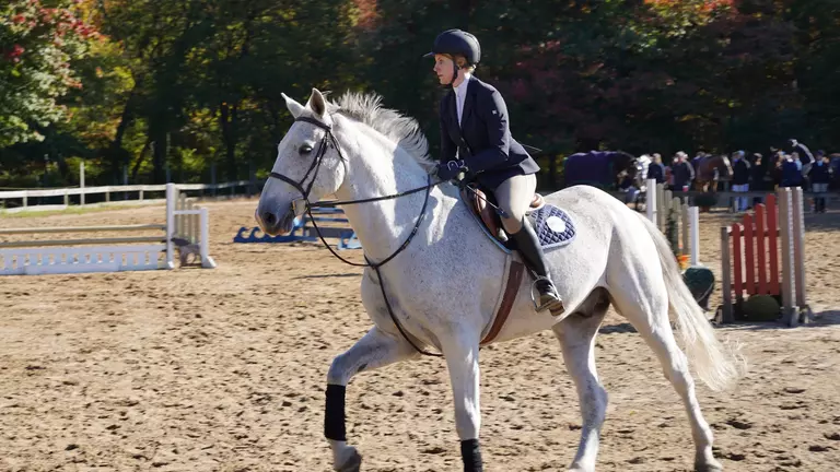 Equestrian begins season with a fourth-place finish at URI Show