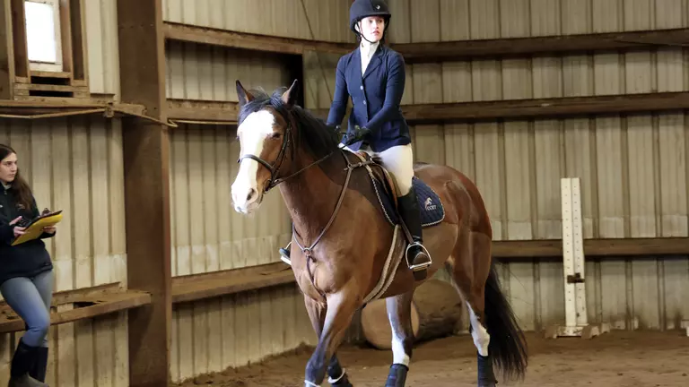 Equestrian Junior Alix Hamon Set to Compete in 2022 IHSA National Finals
