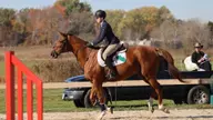 Equestrian Begins Season With Johnson & Wales Show