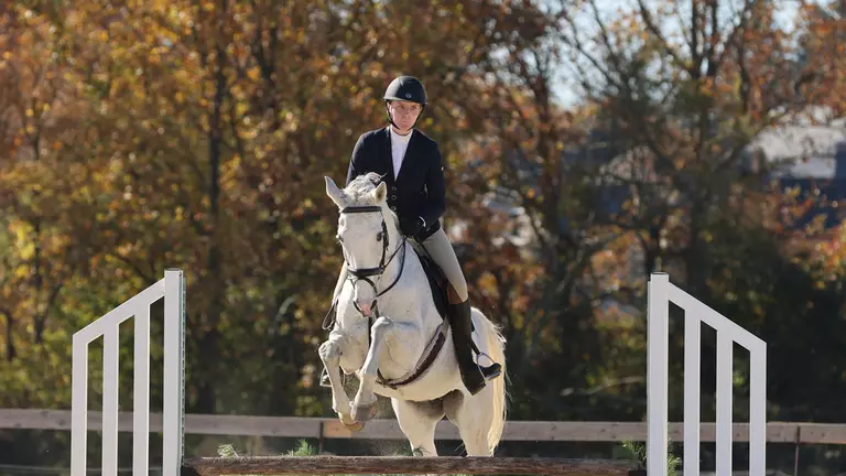 Equestrian Collects Five Wins at Rhode Island Show