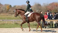 Equestrian Takes Third Place at Roger Williams Show