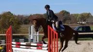 Equestrian Has Strong Showing at JWU Show